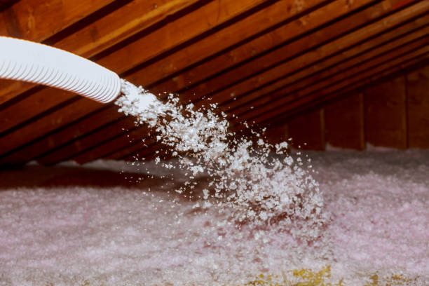 Best Residential Insulation in Ellitt, CO