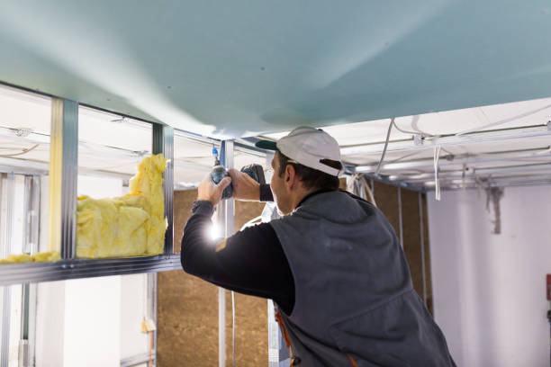 Best DIY Insulation Kits and Guidance in Ellitt, CO
